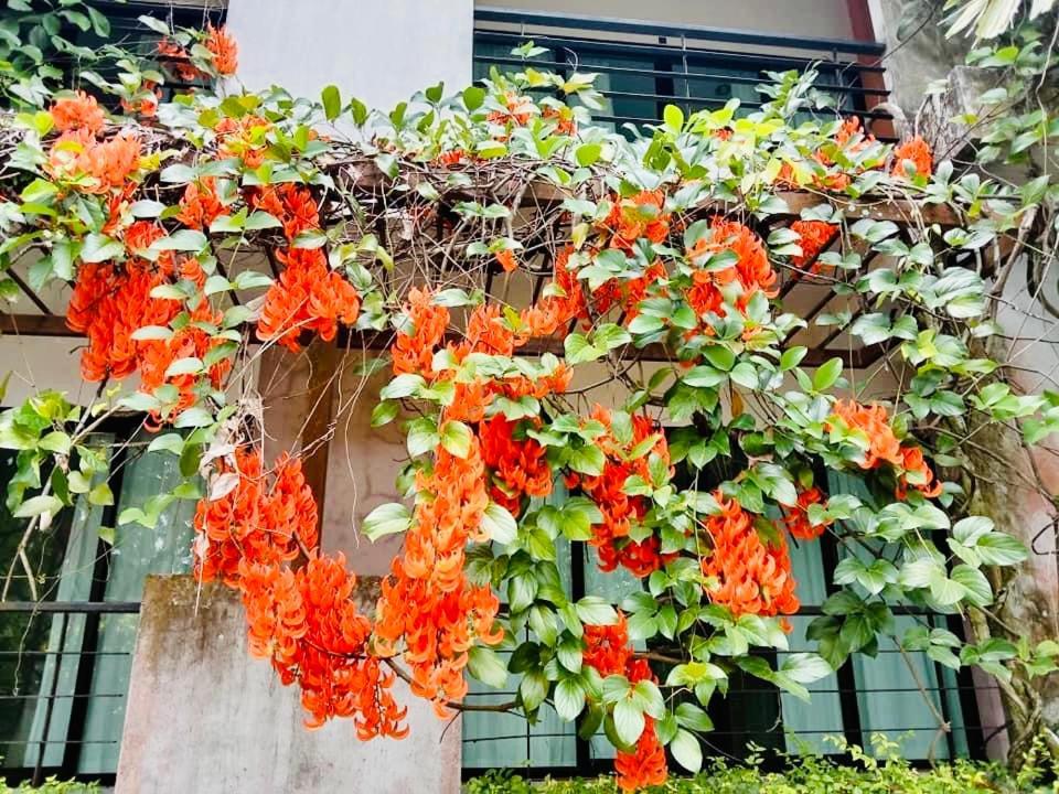 Wassana Sitdharma Guesthouse Trang Exteriör bild